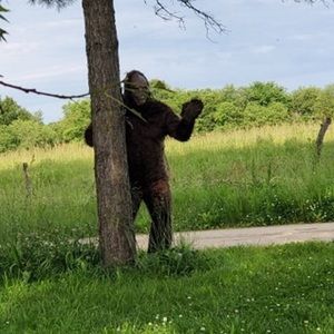 Meet your Posher, William